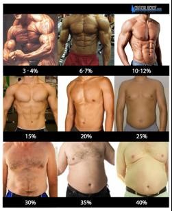 Athletes Body Fat Percentage Chart